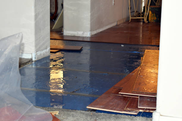 Professional Basement Water Removal technician working in Mulberry, AR